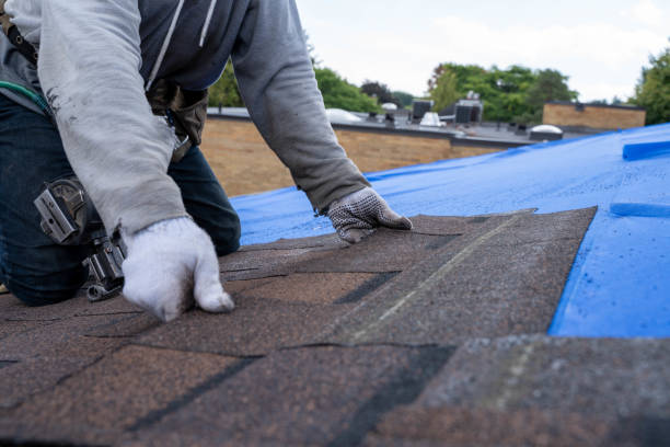 Best Emergency Roof Repair  in Goodman, MO